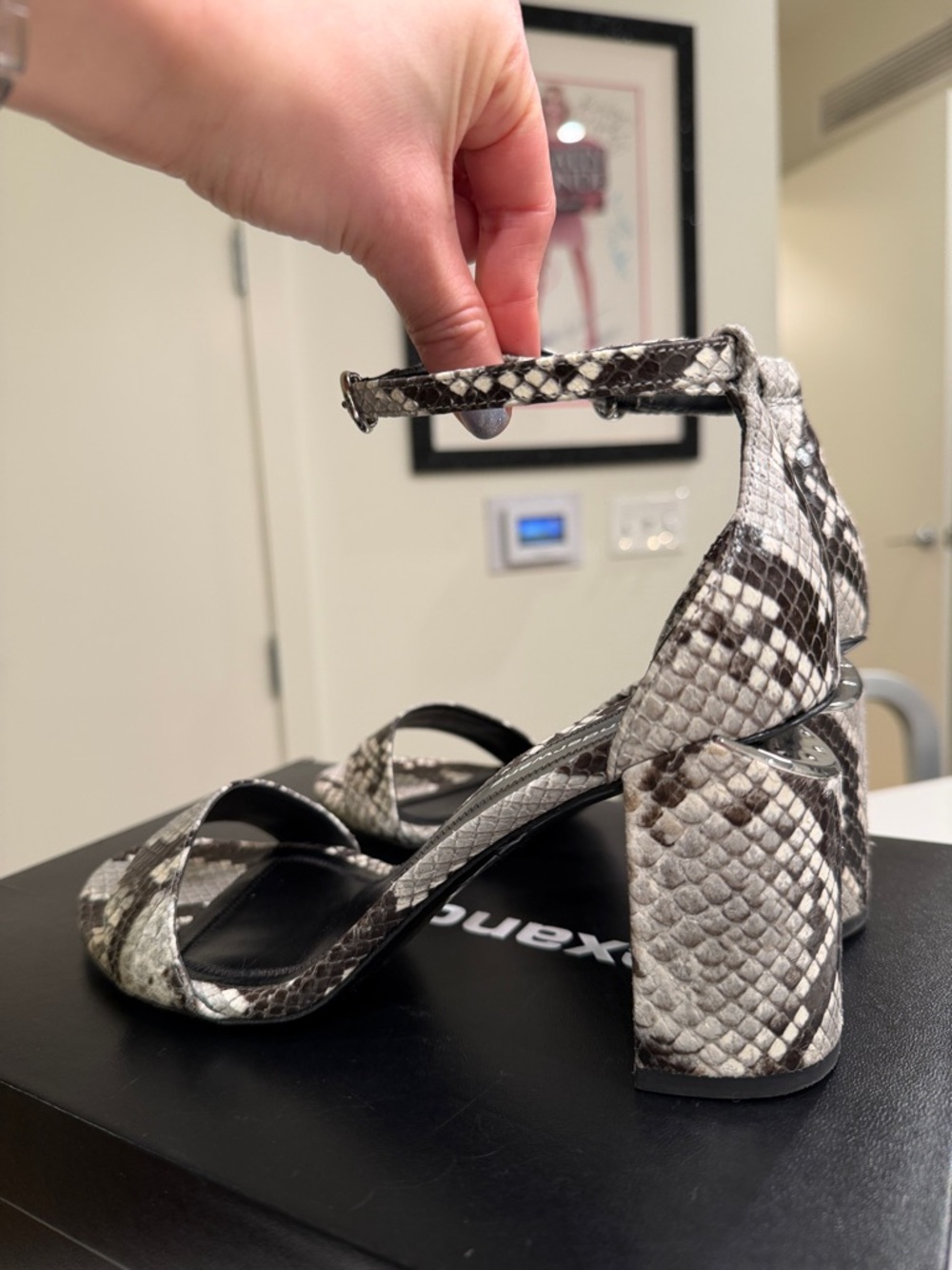 Alexander Wang Snakeskin Abby Leather Block Heel Snake Print Sandal Sz 7.5 + Box